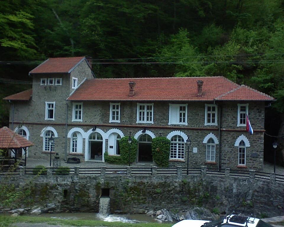 Vučje