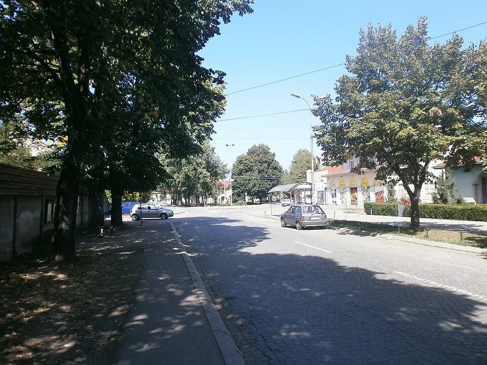Vučje