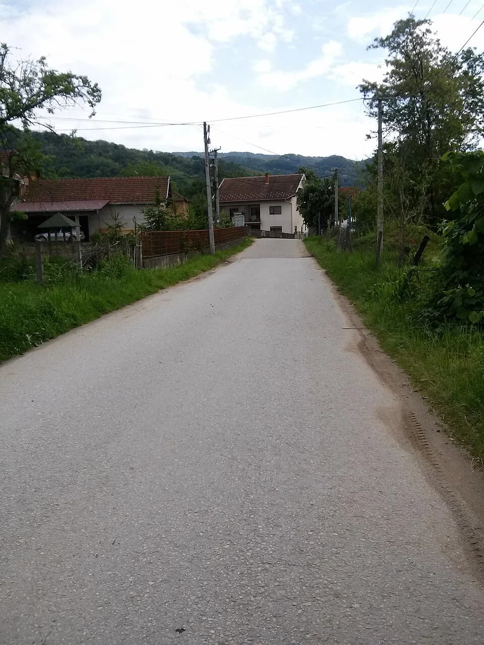 Vučje