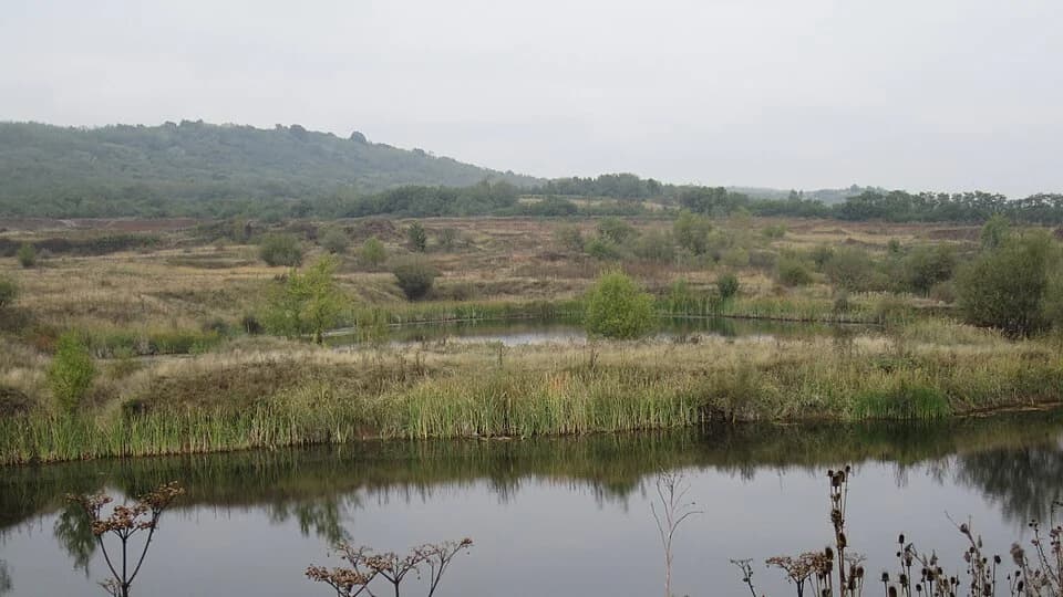 Zagužane