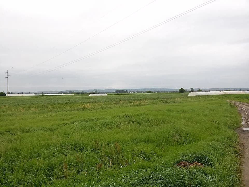 Kumarevo