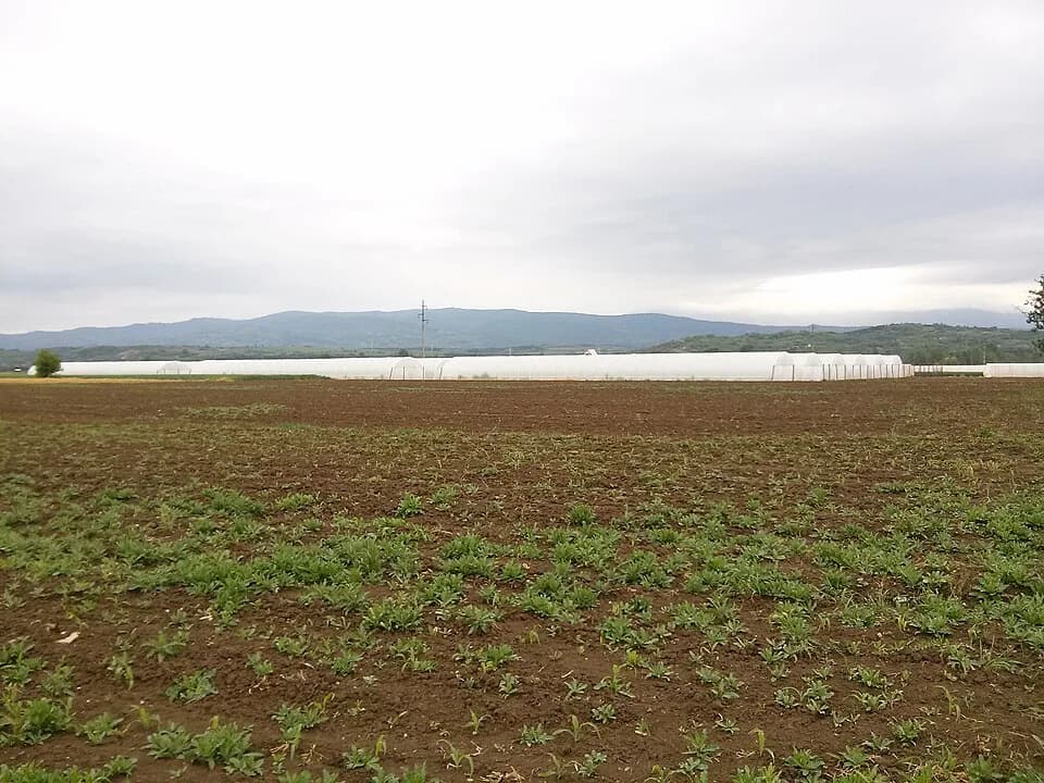 Kumarevo