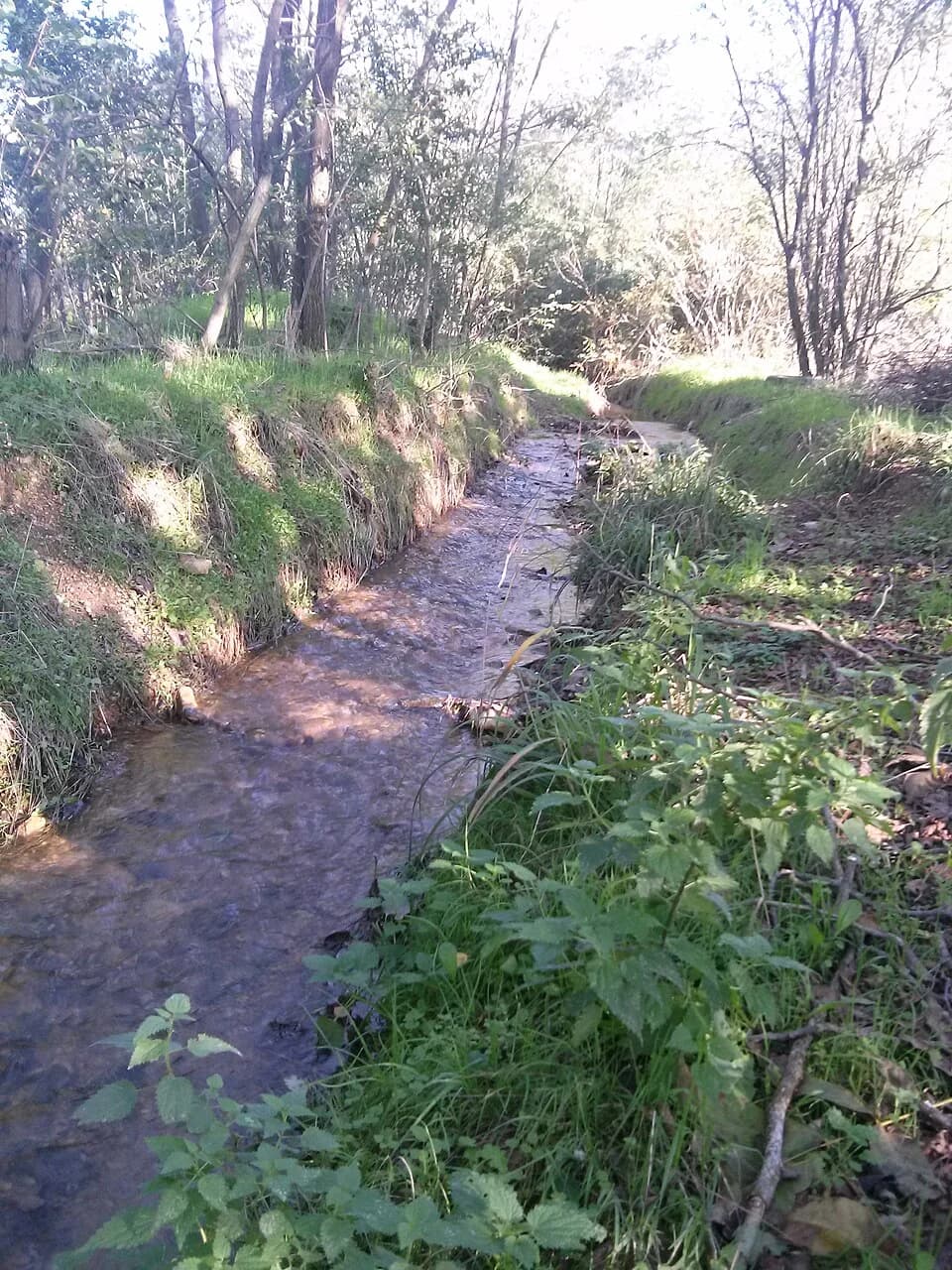 Nakrivanj