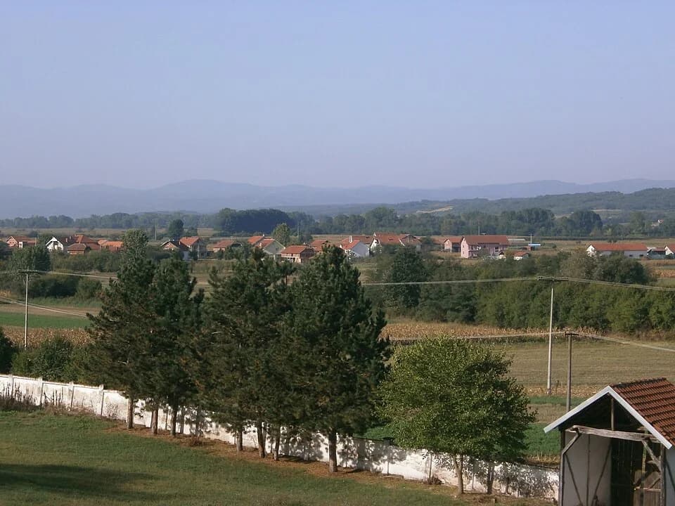 Rudare