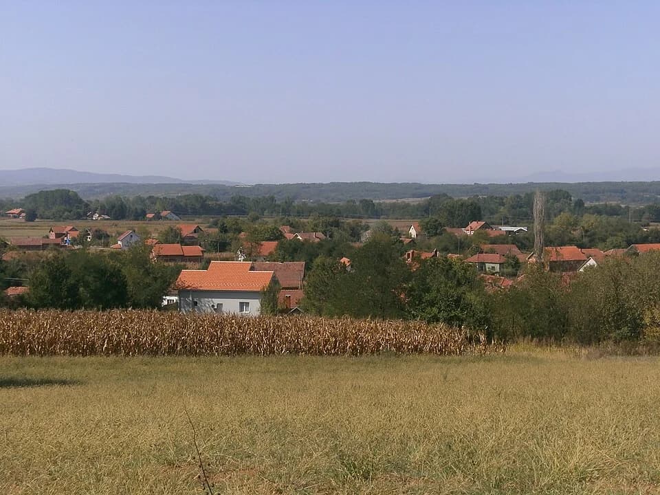 Šainovac