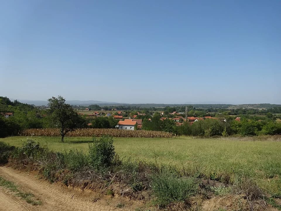 Šainovac