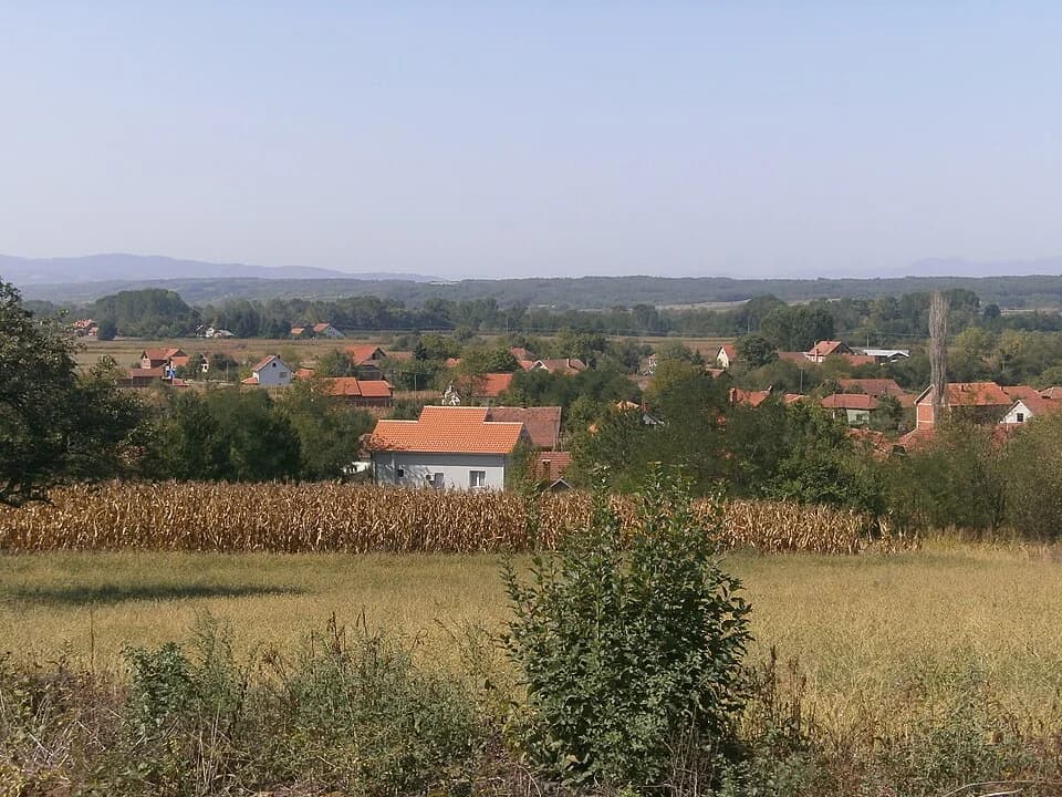 Šainovac