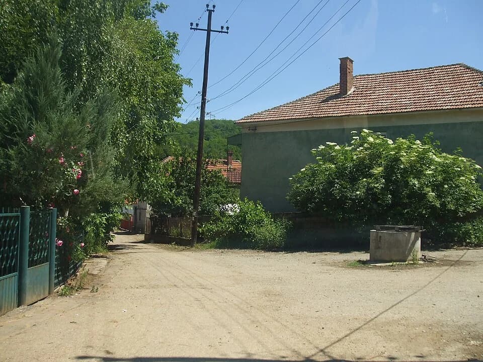 Donje Vlase