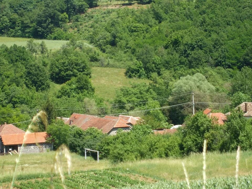 Donje Vlase