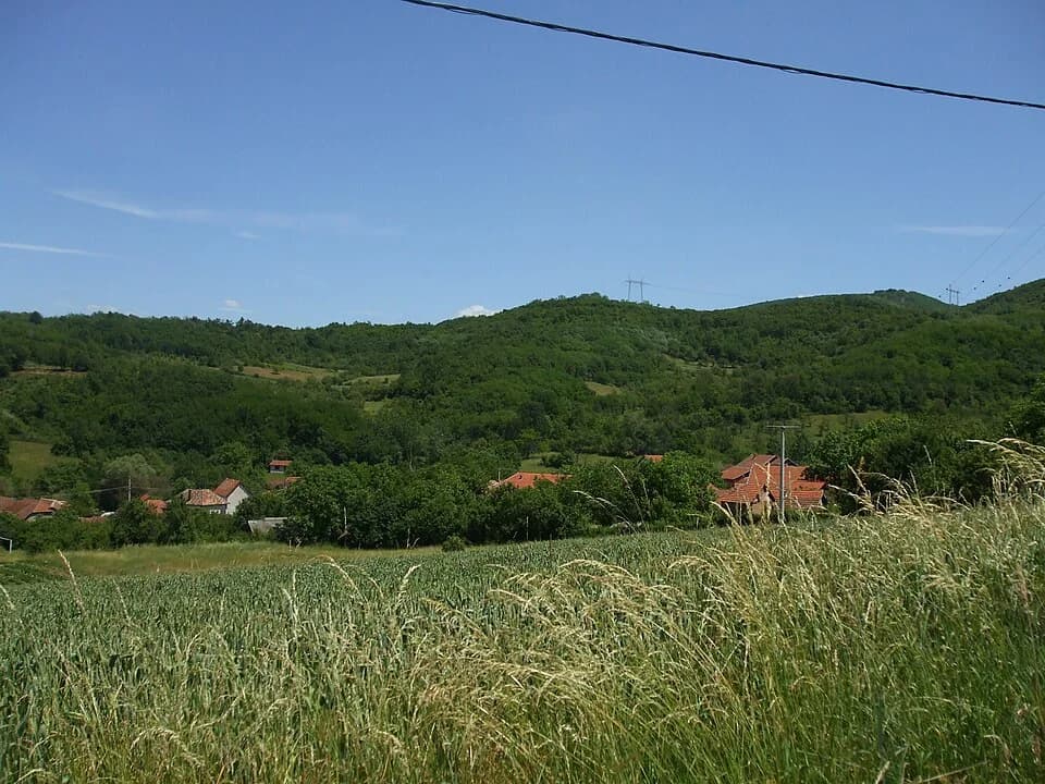 Donje Vlase