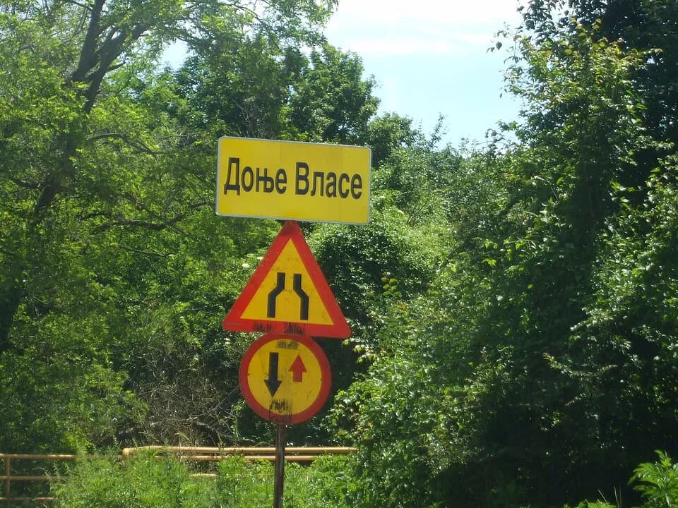 Donje Vlase