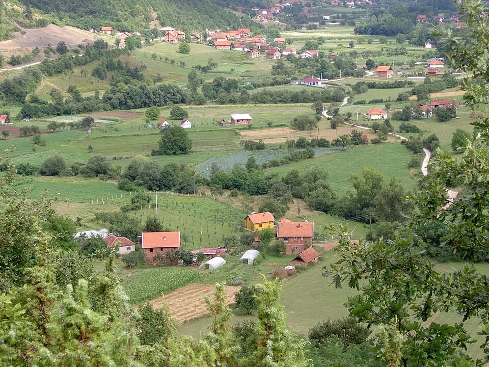 Boturovina