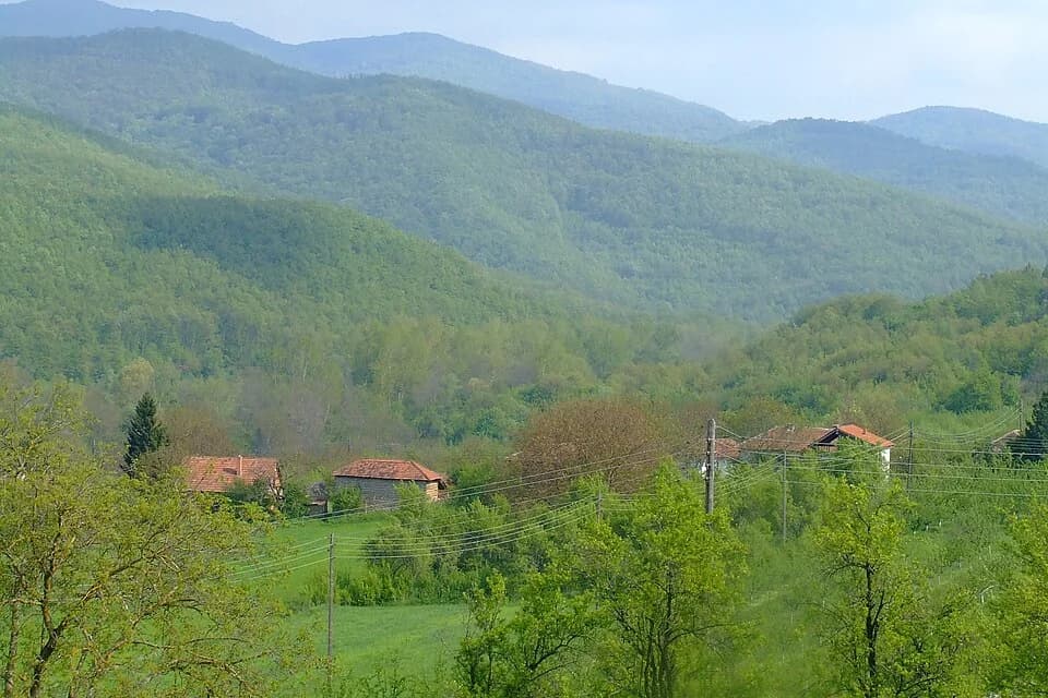 Donja Bejašnica