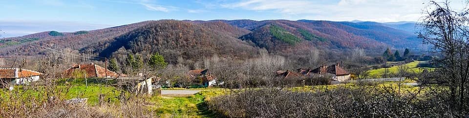 Donja Bejašnica