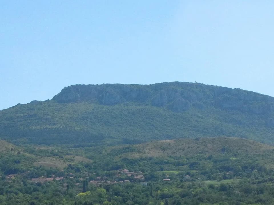 Pasjača