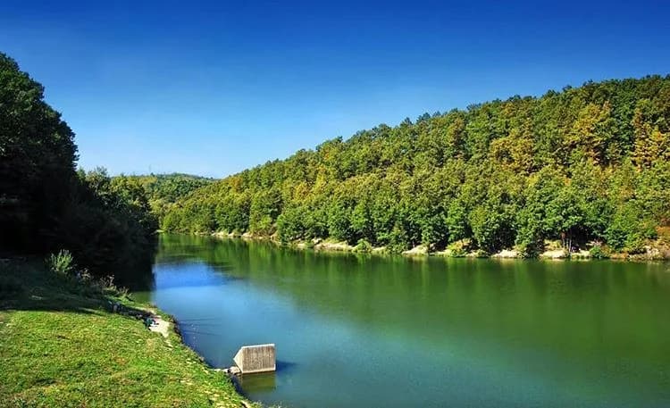 Voždovac