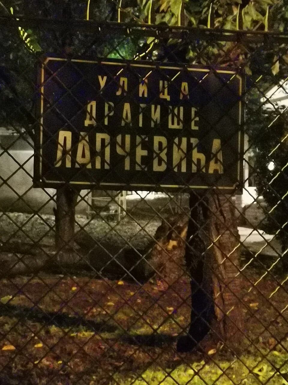 Zvezdara