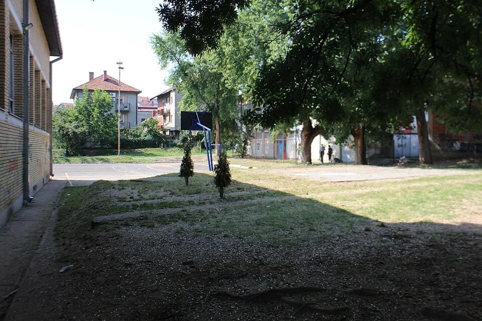 Palilula