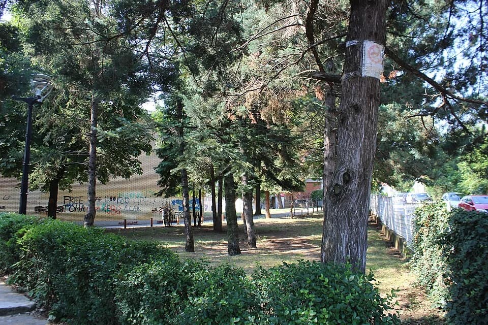 Palilula