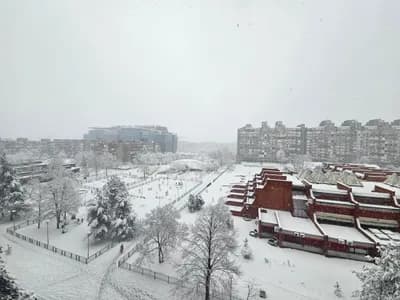 Slika korisnika Mladen Petrovic