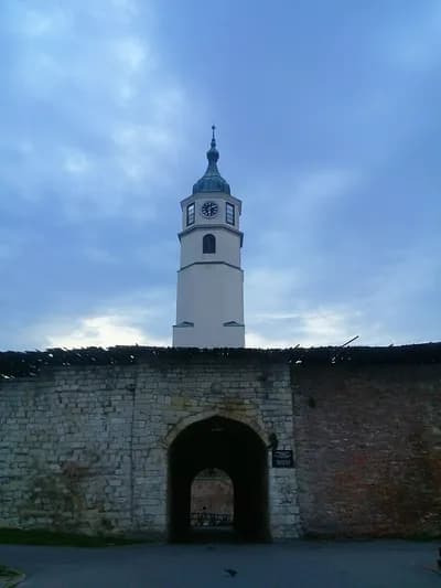 Slika korisnika Mladen Petrovic