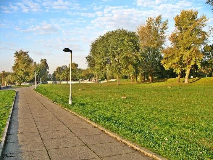 Savski kej