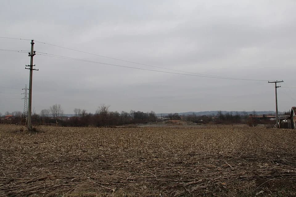 Beloševac