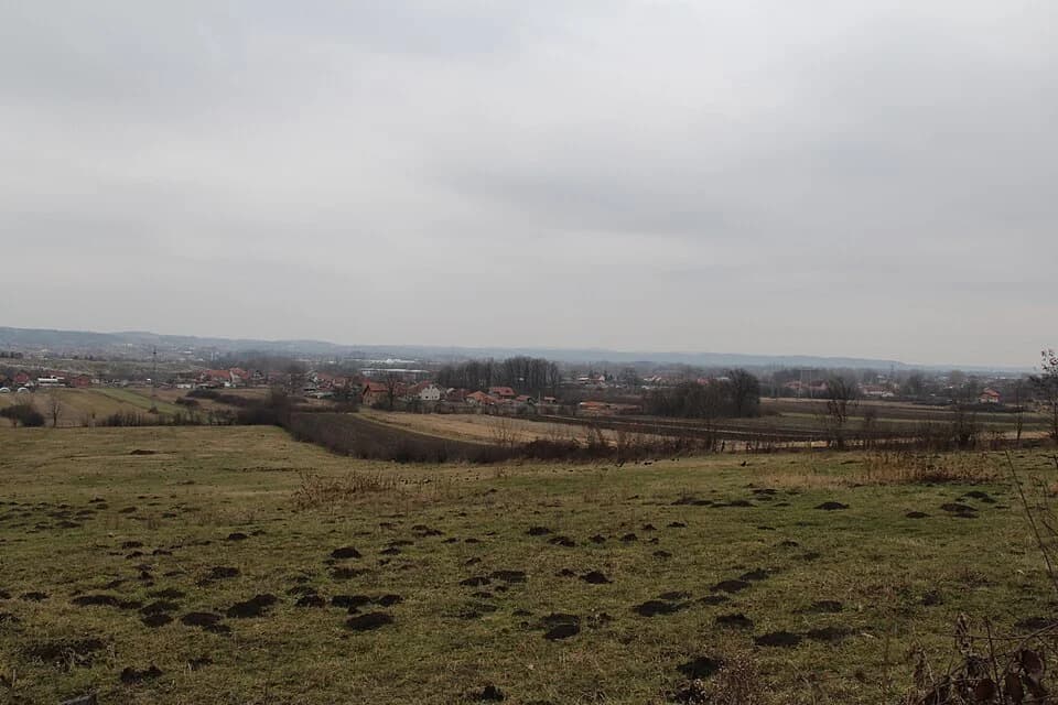 Beloševac