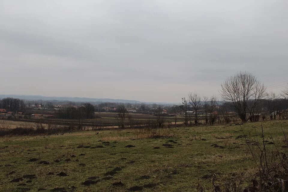 Beloševac