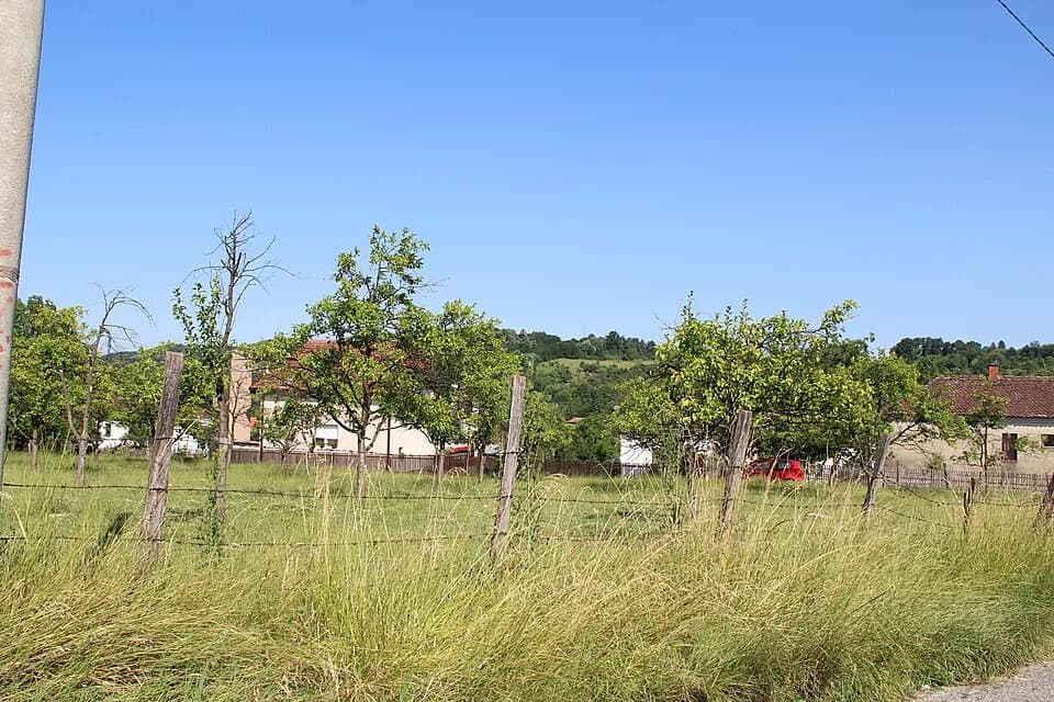 Beloševac