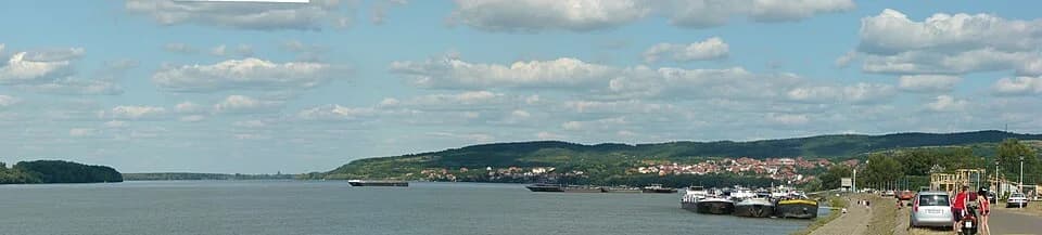 Višnjica