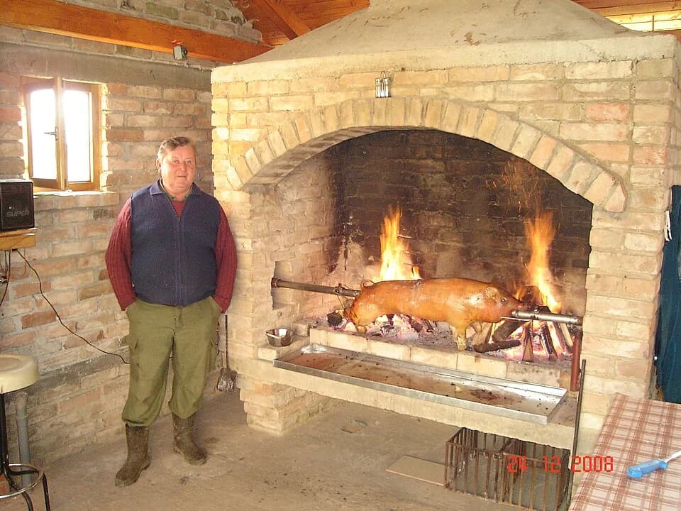 Višnjica