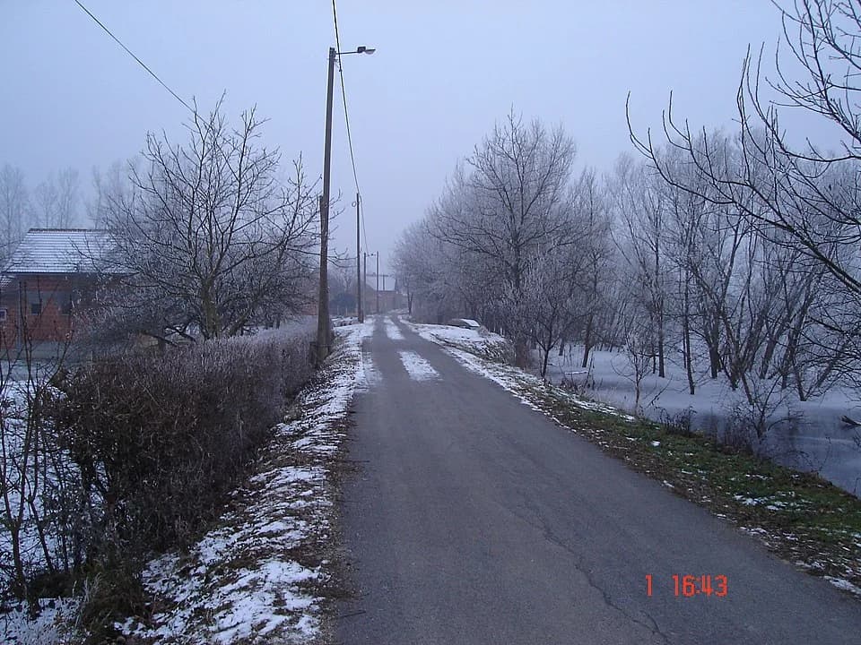 Višnjica
