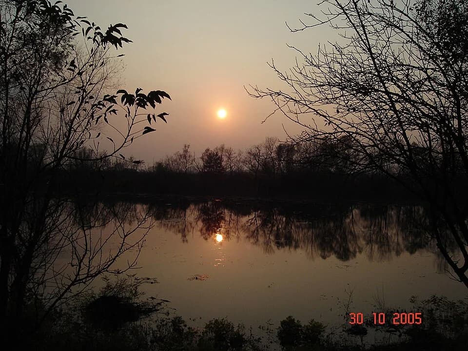 Višnjica