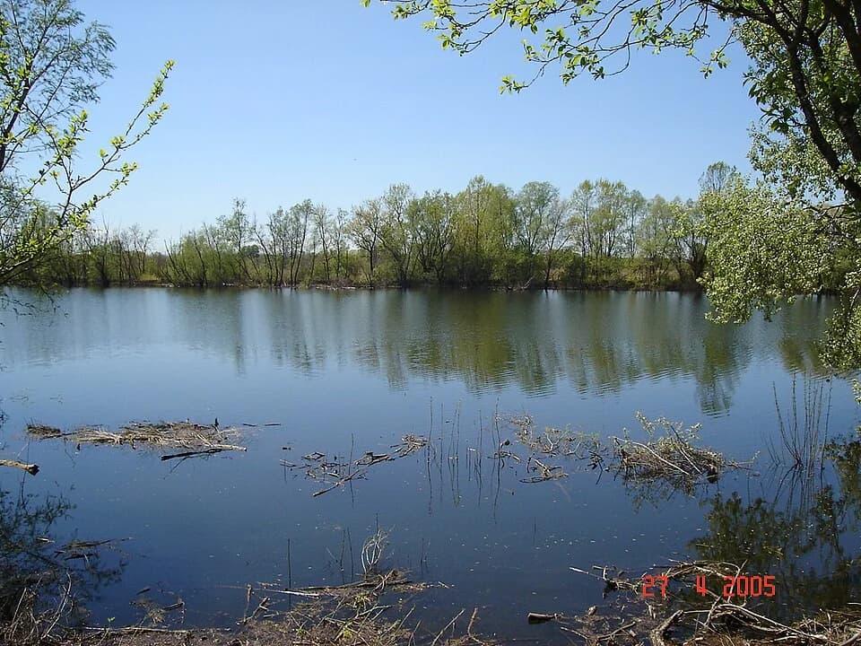 Višnjica