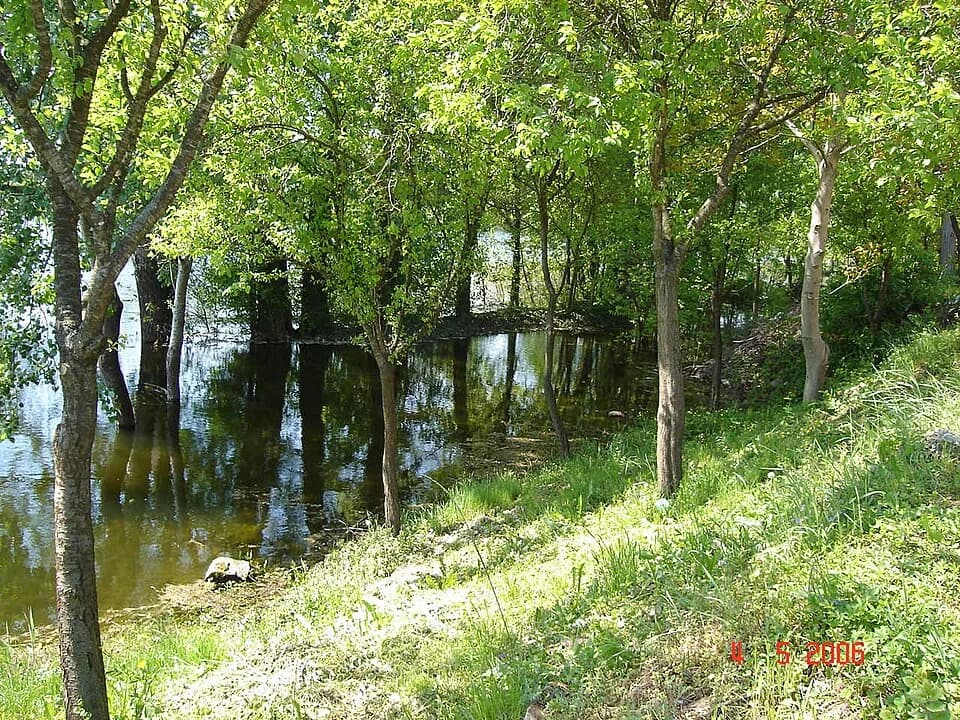 Višnjica