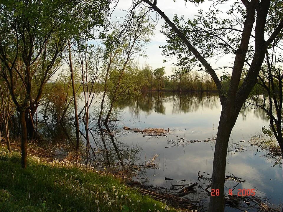 Višnjica