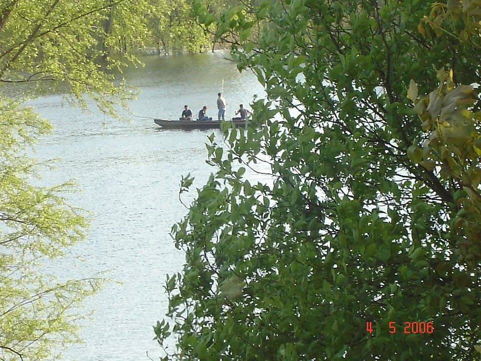 Višnjica