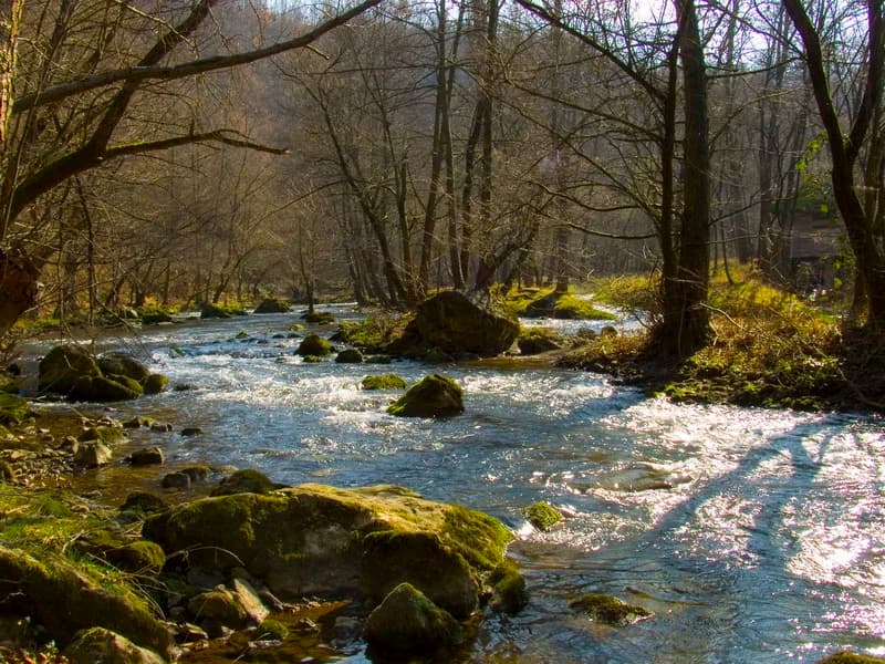 Gradac