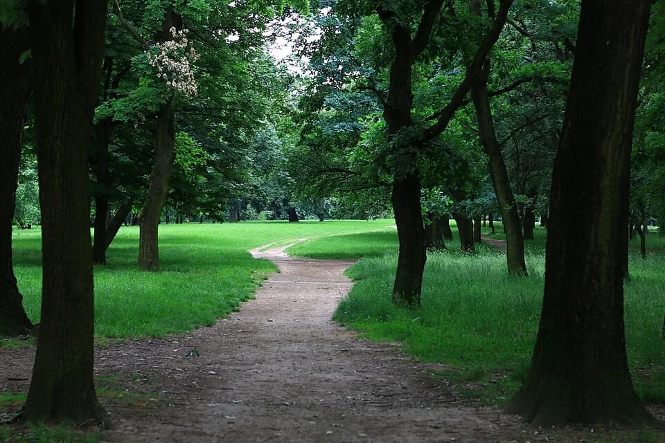 Košutnjak