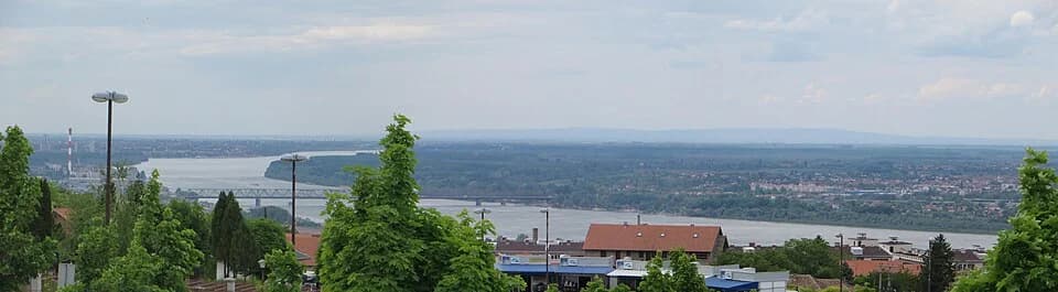 Lešće