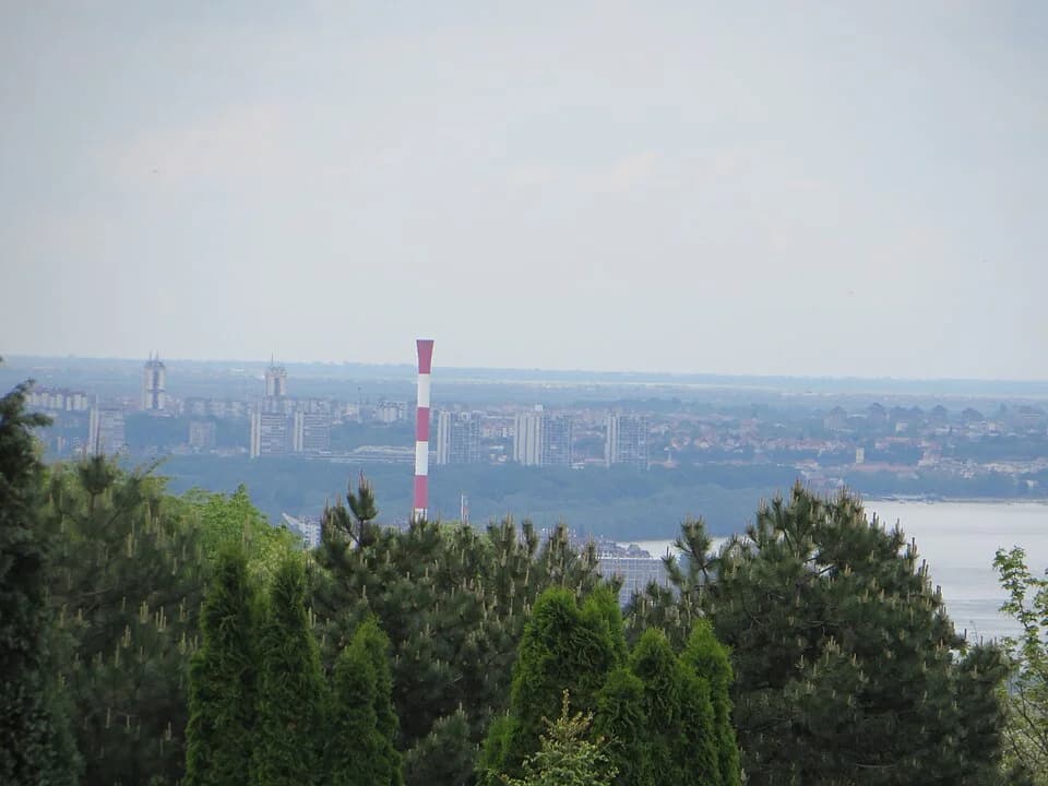 Lešće