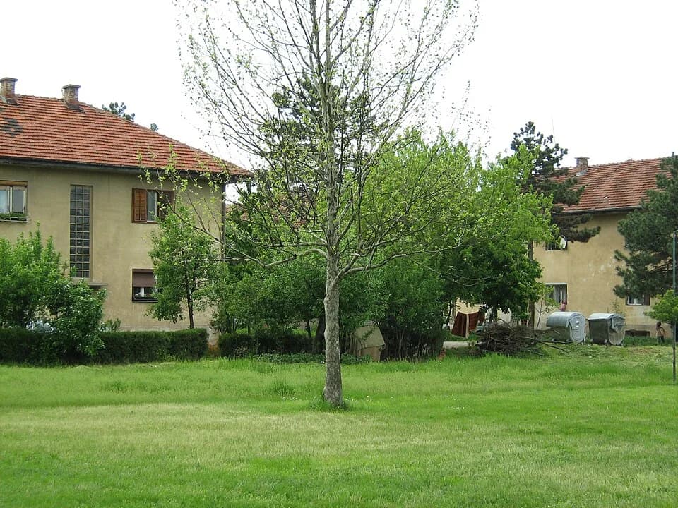 Naselje Milka Protić