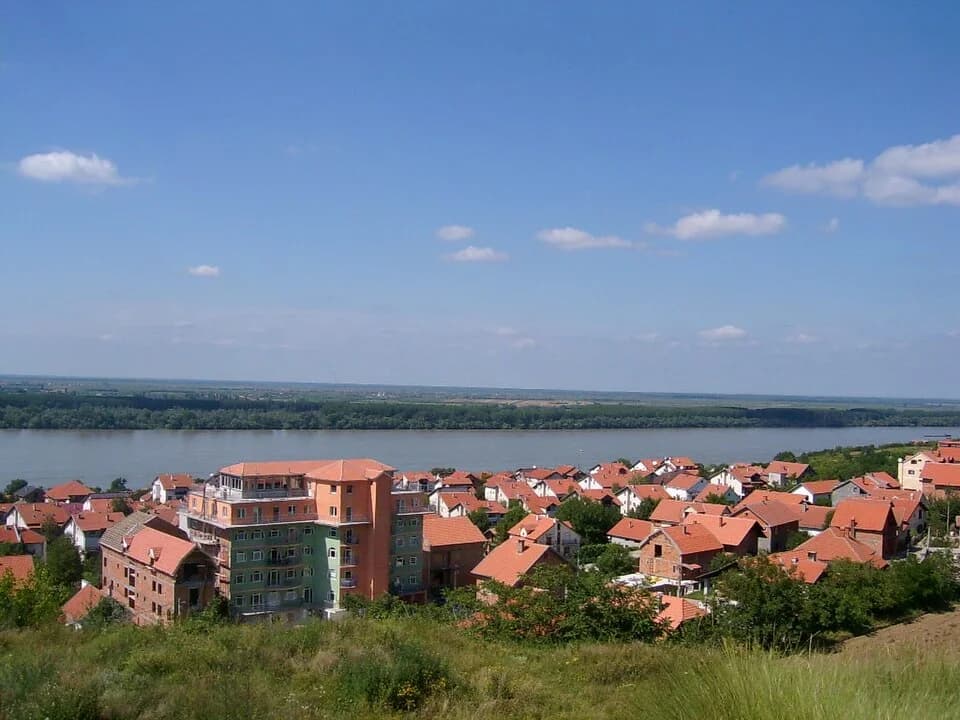 Palilula