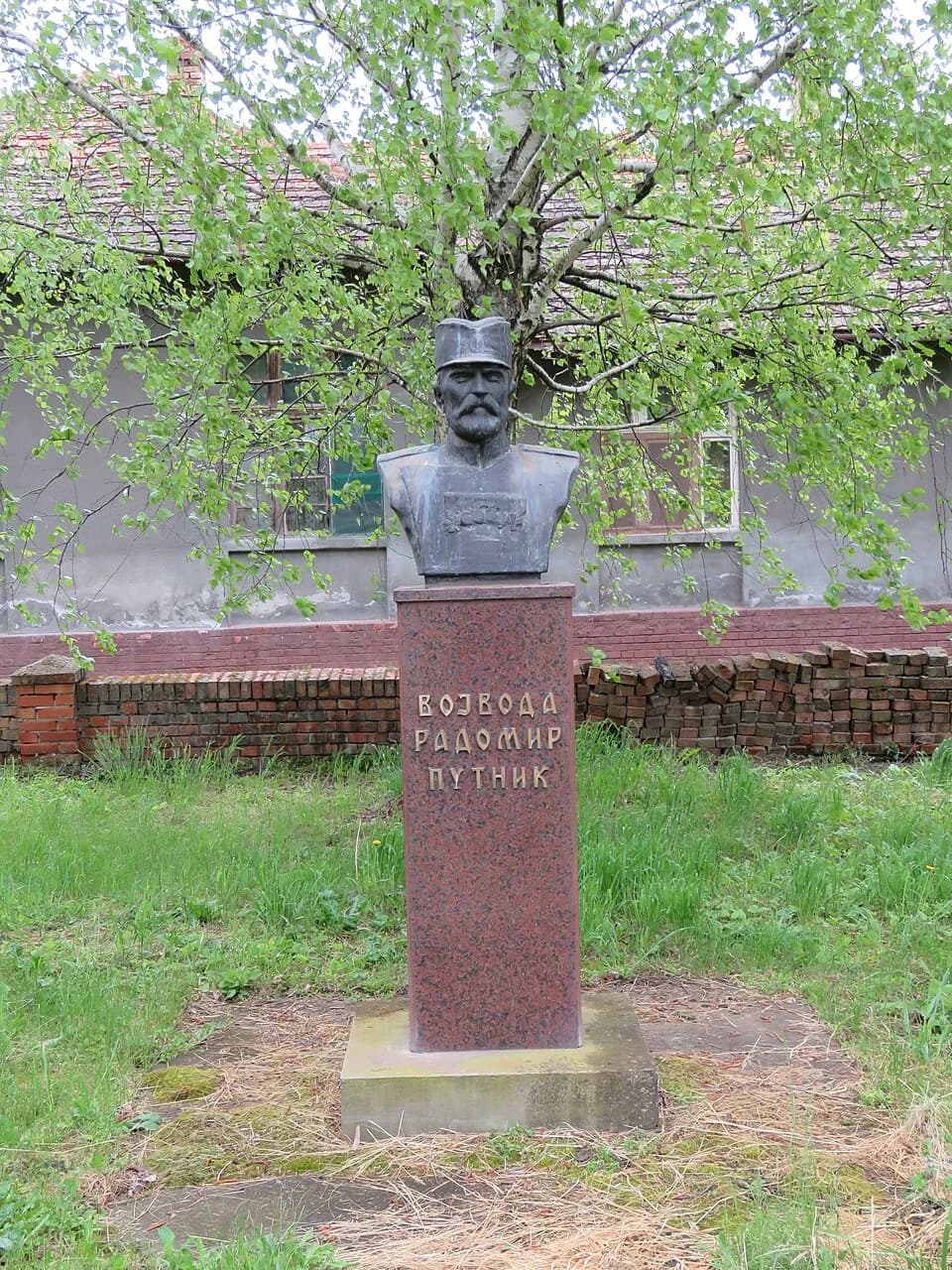 Putnikovo