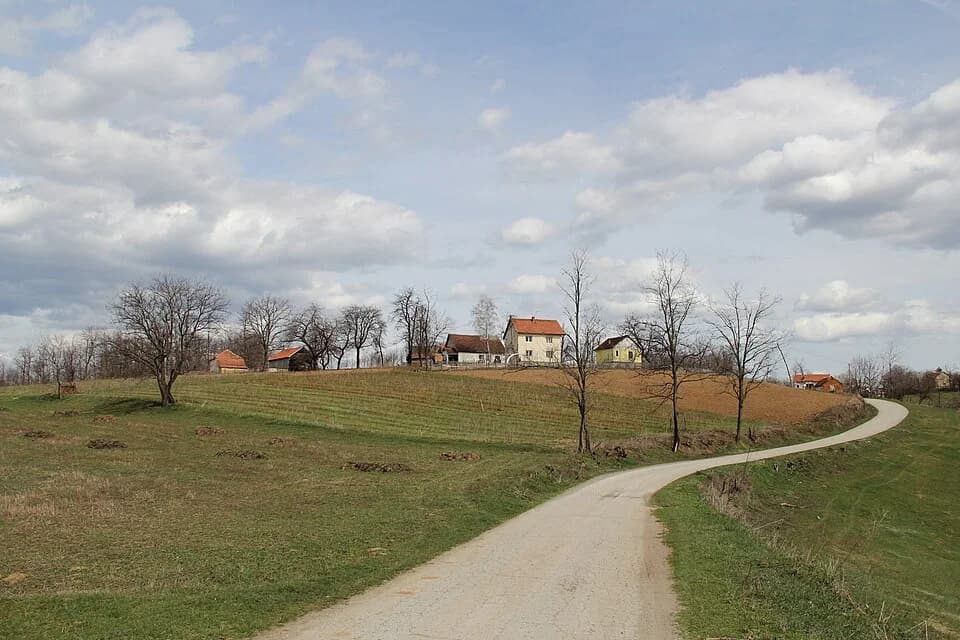 Sušica