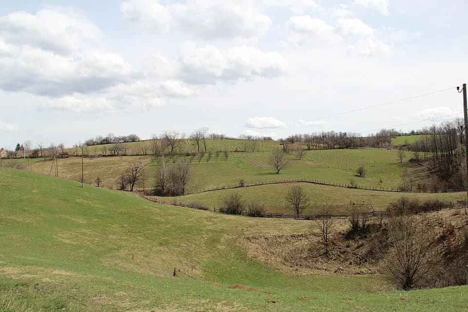 Sušica