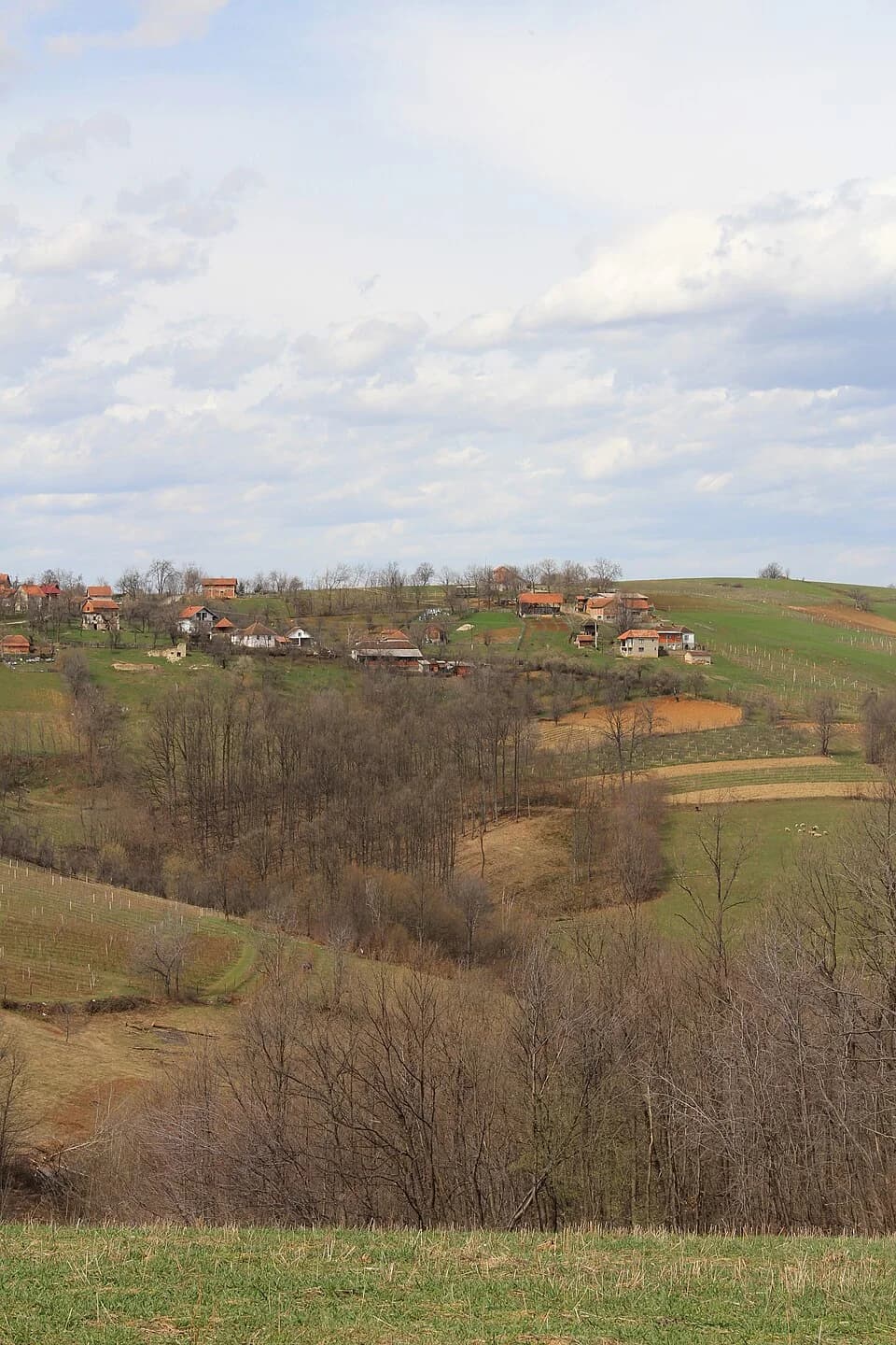 Sušica