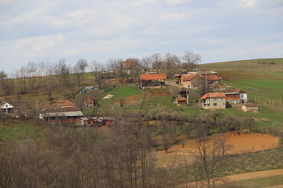Sušica