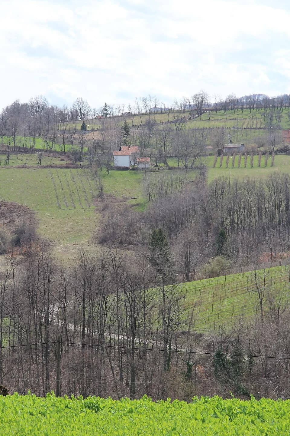 Sušica